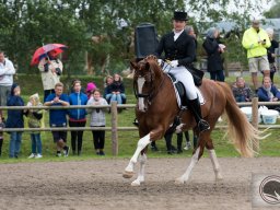 DSC_1978_web
